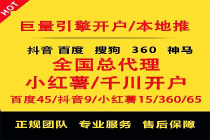 某某SEM团队成功案例：广告投放策略揭秘
